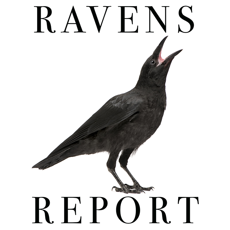 Featured image of article: Latest DCS Raven’s Report