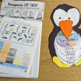 Featured image of article: Research Project On Penguins